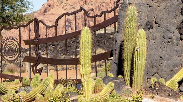 Desert cactus garden in front of a welded metal fence