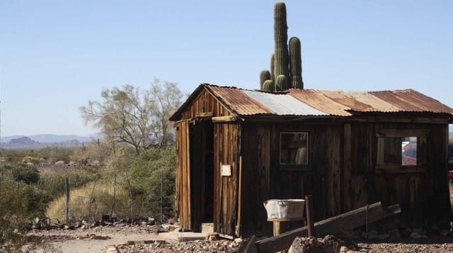 Weathered wooden miner's shack with a tall saguaro behind it